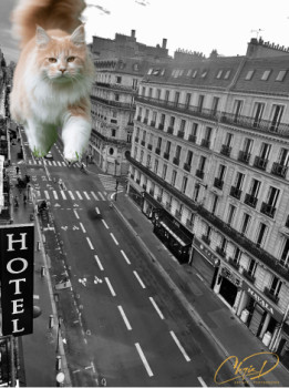 Un Chat à Paris sur le site d’ARTactif