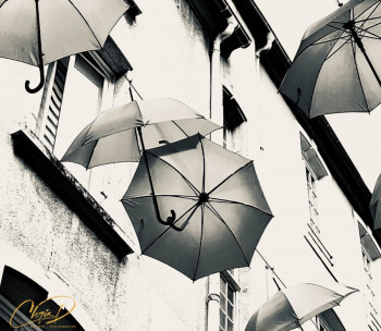 Parapluies in Love sur le site d’ARTactif