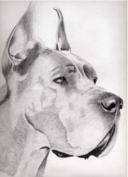 Named contemporary work « Dogue allemand », Made by HéNAUT