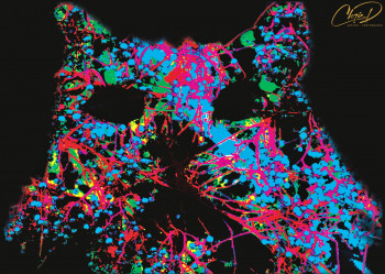 Contemporary work named « Cool Cat », Created by CHRIS D.