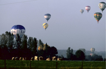 Named contemporary work « Le plancher des vaches », Made by DOMINIQUE LEROY