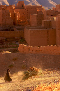 Named contemporary work « Femme marocaine dans la vallée du drâa. Maroc », Made by DOMINIQUE LEROY