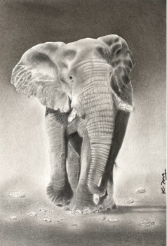 Contemporary work named « Eléphant d'Afrique », Created by K-DOM
