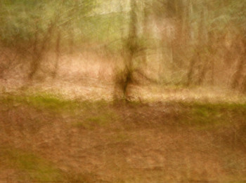 Named contemporary work « Histoire d'arbres......... », Made by PHILIPPE BERTHIER