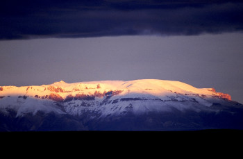 Named contemporary work « Cordière des Andes. », Made by DOMINIQUE LEROY