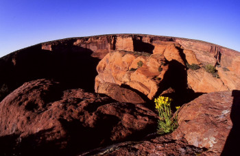 Named contemporary work « Grand Canyon. », Made by DOMINIQUE LEROY