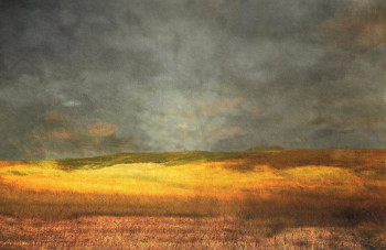Contemporary work named « La campagne........ », Created by PHILIPPE BERTHIER