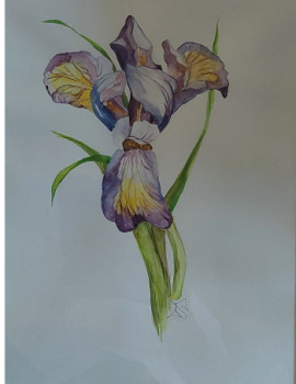 Contemporary work named « Iris », Created by DALIA