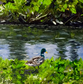 Named contemporary work « Just a duck », Made by ROTA ART