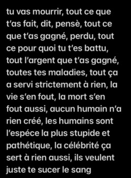 Named contemporary work « des fois je mange des frites et les valeurs humanistes ca m’intéresse à fond », Made by DAVID SROCZYNSKI