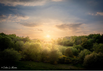 Named contemporary work « Sunset in eden garden », Made by FRED LE MONNIER IMAGES