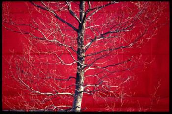 Named contemporary work « Arbre rouge », Made by ISABELLE GERNIGON
