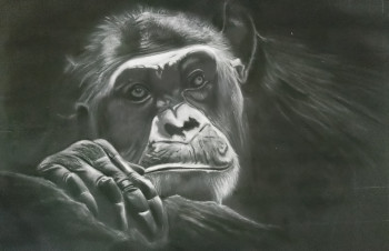 Contemporary work named « Chimpanzé », Created by SANPIER