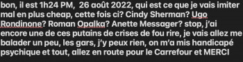 Named contemporary work « hétérodiégétique dans le cadre d'une méta fiction », Made by DAVID SROCZYNSKI