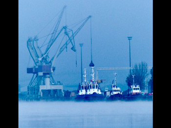 Contemporary work named « Les grues du port », Created by MICHEL PAULIN