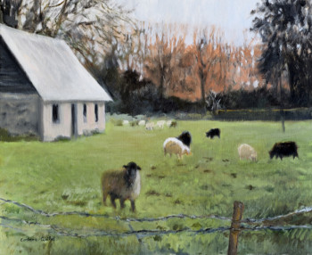 Contemporary work named « moutons d'ouessant », Created by CORINNE QUIBEL