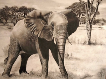 Contemporary work named « elephant de tanzanie », Created by SANPIER