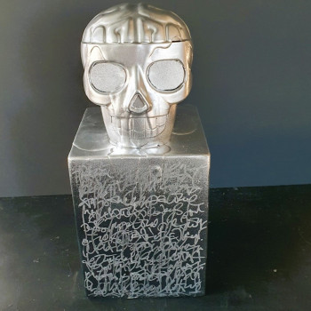Contemporary work named « Vanité en argent », Created by FRéDéRIC HAIRE