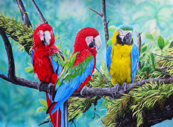 Named contemporary work « Blue and yellow and scarlet Macaws », Made by JULIAN WHEAT