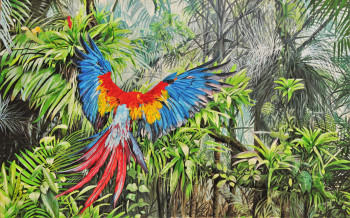 Named contemporary work « Vol vers la liberté,Macaw », Made by JULIAN WHEAT