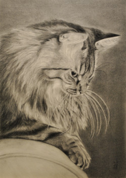 Named contemporary work « un chat », Made by BAPTISTE USANDISAGA