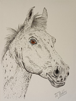 Named contemporary work « Tête de cheval sur toile coton. Peinture Originale acrylique. », Made by JEAN-CLAUDE ROBLES