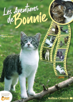 Named contemporary work « Les aventures de Bonnie », Made by NAD DINE