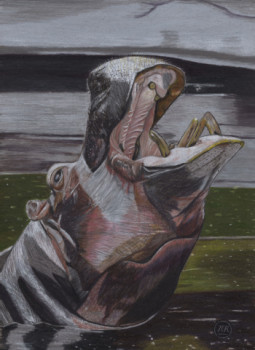 Named contemporary work « Un hippopotame émerge. », Made by PIRDESSINS