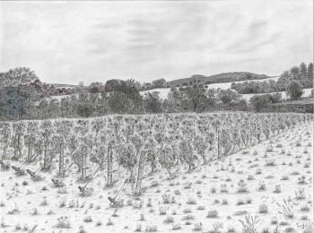 Named contemporary work « Carré de vignes à Givry », Made by MSGAYRAL'ART