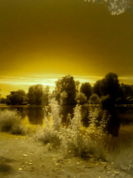 Named contemporary work « Lac en infrarouge », Made by ISABELLE RAMOS SILLON