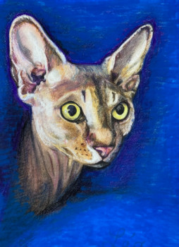 Named contemporary work « Chat bleu », Made by MYCY