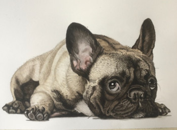 Named contemporary work « Bouledogue français », Made by CHANTALDEBLAUWEAQUARELLES