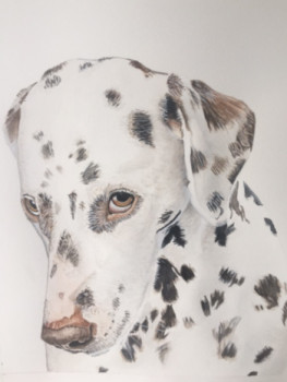 Named contemporary work « Dalmatien », Made by CHANTALDEBLAUWEAQUARELLES