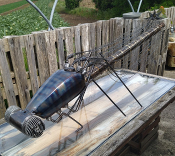 Named contemporary work « Dragonfly », Made by TOUD