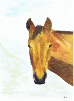 Named contemporary work « Portrait cheval », Made by MIHA
