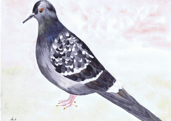 Named contemporary work « Pigeon biset de ville », Made by MIHA