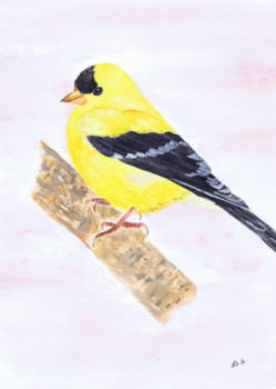 Named contemporary work « American Goldfinch », Made by MIHA