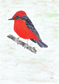 Named contemporary work « Vermillion Flycatcher », Made by MIHA
