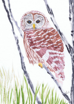 Named contemporary work « Barred owl », Made by MIHA