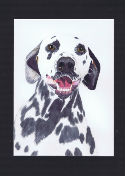 Named contemporary work « Portrait chien dalmatien - Dadou », Made by MIHA
