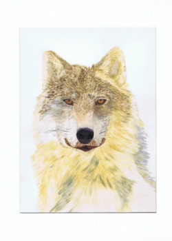 Named contemporary work « Portrait chien loup - Lucy », Made by MIHA