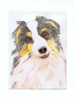 Named contemporary work « Portrait chien  Berger australien - Tricot », Made by MIHA