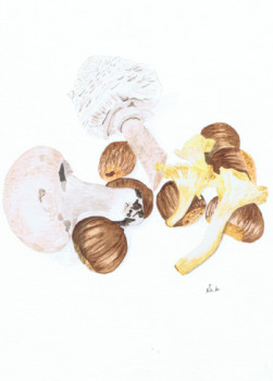 Named contemporary work « Hello automn - mushroom is here », Made by MIHA