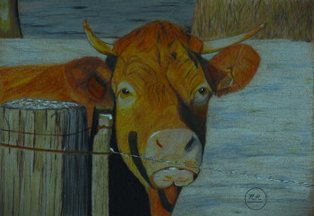 Named contemporary work « Une vache en hiver », Made by PIRDESSINS