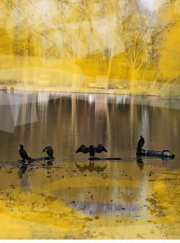 Named contemporary work « Paysage en automne », Made by SHAKED ADIV ( AVIEZER)