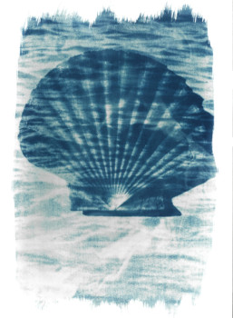 Named contemporary work « BLUE SHELL », Made by PHOTOFROMTHESUN