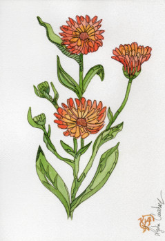 Named contemporary work « Calendula », Made by LYDIE COURBIER