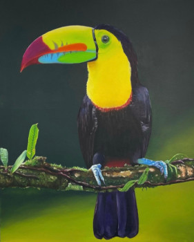 Named contemporary work « Tucan », Made by ADRIANA
