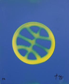 Named contemporary work « Balón de baloncesto », Made by XAQUIN NOCHE