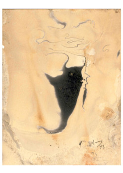 Named contemporary work « Toro fantasma », Made by XAQUIN NOCHE